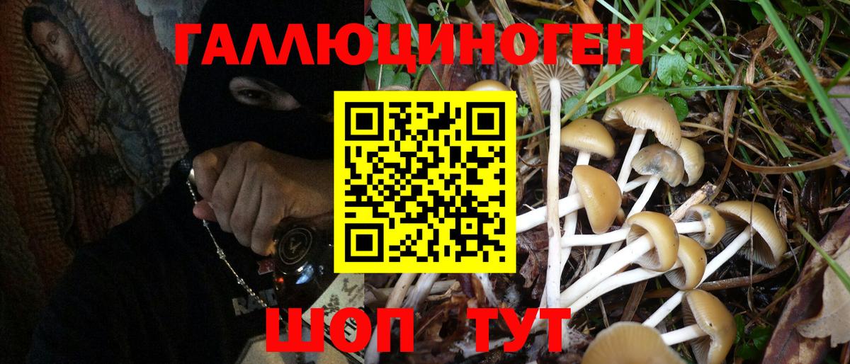 Галлюциногенные грибы мицелий Мирный