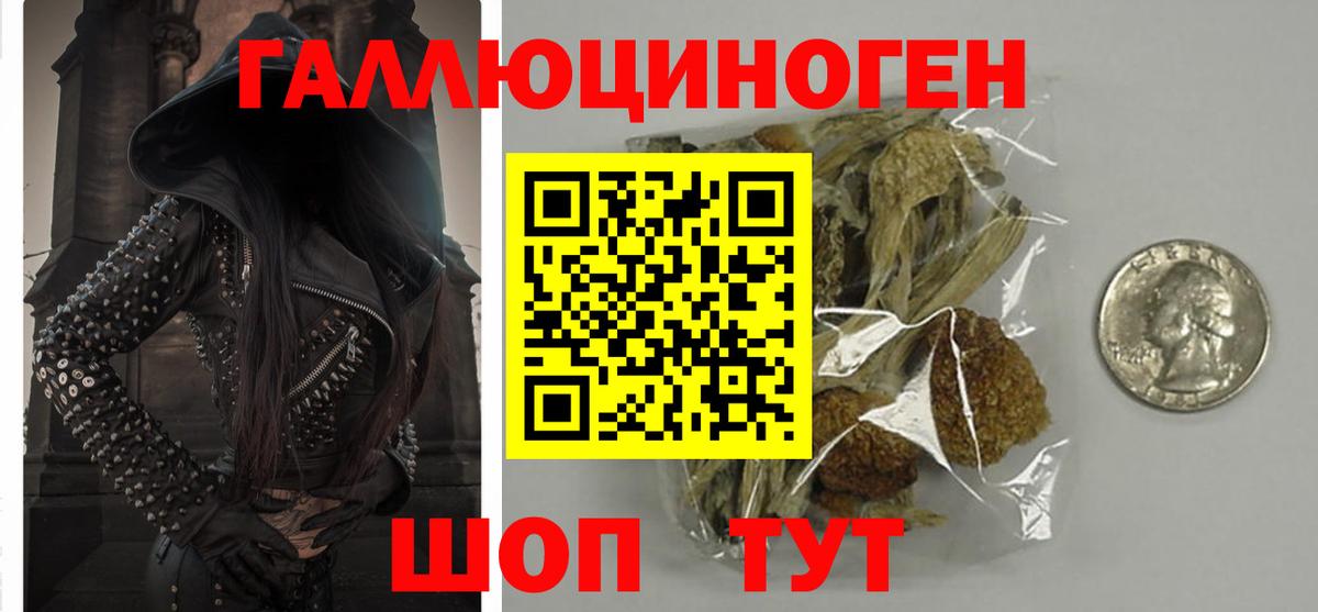 где продают   Псилоцибиновые грибы Psilocybine cubensis  Вход с VPN  Псилоцибиновые грибы мицелий  Мирный 